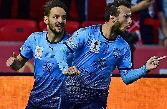 纽卡斯尔伤停最新消息今天